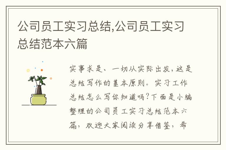 公司員工實習總結,公司員工實習總結范本六篇