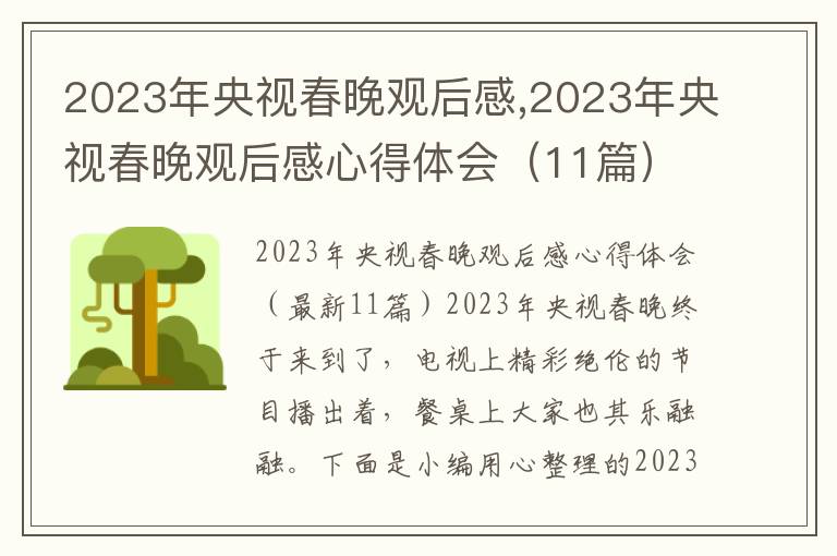 2023年央視春晚觀后感,2023年央視春晚觀后感心得體會（11篇）