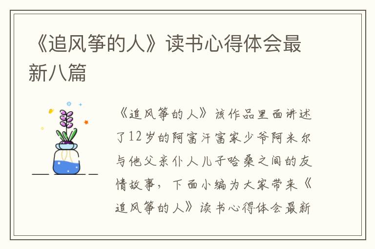 《追風(fēng)箏的人》讀書心得體會(huì)最新八篇