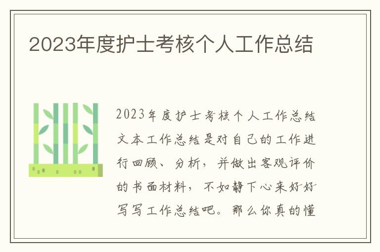 2023年度護士考核個人工作總結