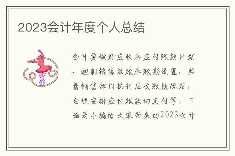 2023會(huì)計(jì)年度個(gè)人總結(jié)