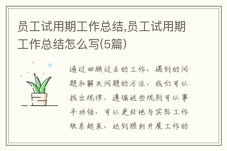 員工試用期工作總結,員工試用期工作總結怎么寫(5篇)