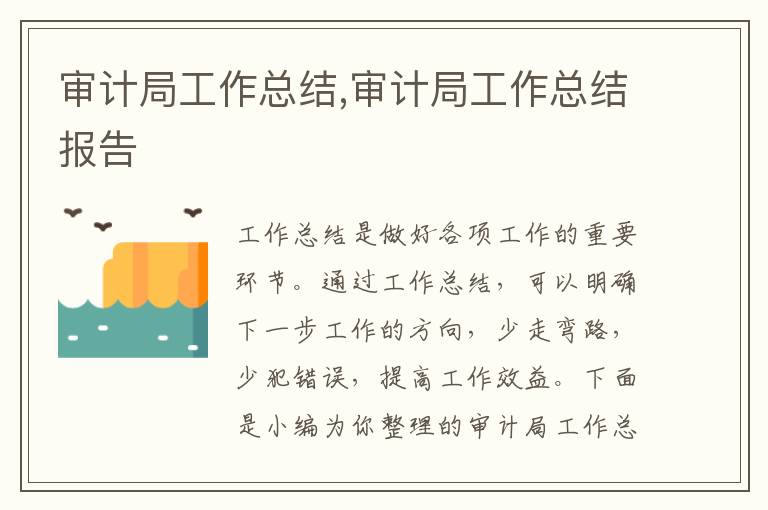 審計局工作總結,審計局工作總結報告