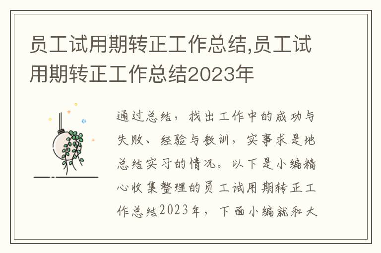 員工試用期轉正工作總結,員工試用期轉正工作總結2023年