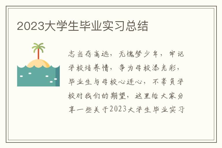 2023大學生畢業實習總結