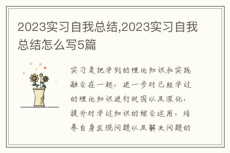 2023實習(xí)自我總結(jié),2023實習(xí)自我總結(jié)怎么寫5篇