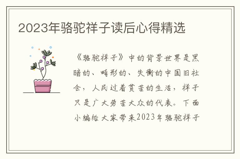 2023年駱駝祥子讀后心得精選