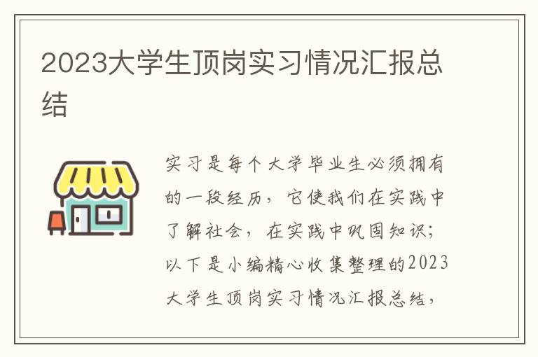 2023大學生頂崗實習情況匯報總結