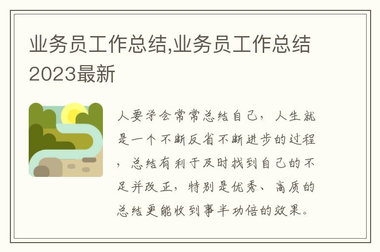 業(yè)務員工作總結,業(yè)務員工作總結2023最新