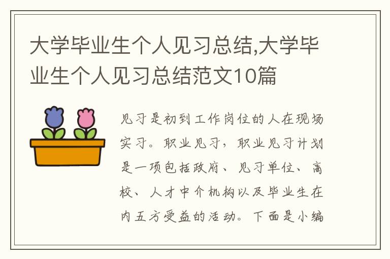 大學畢業生個人見習總結,大學畢業生個人見習總結范文10篇