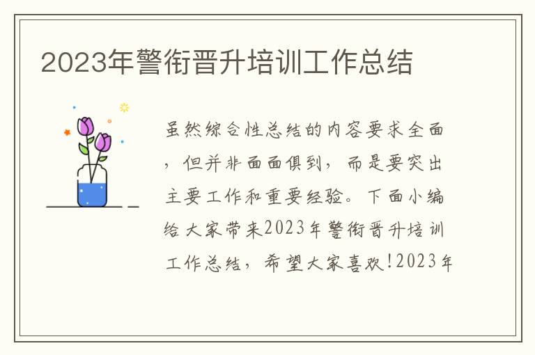 2023年警銜晉升培訓(xùn)工作總結(jié)