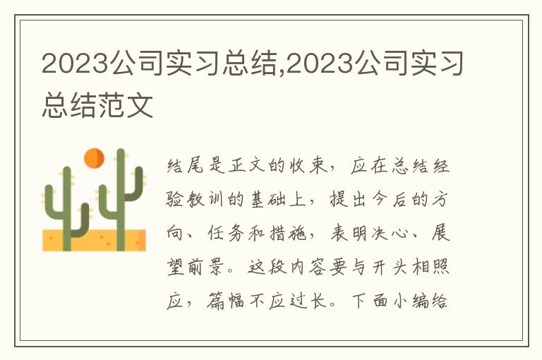 2023公司實習總結,2023公司實習總結范文