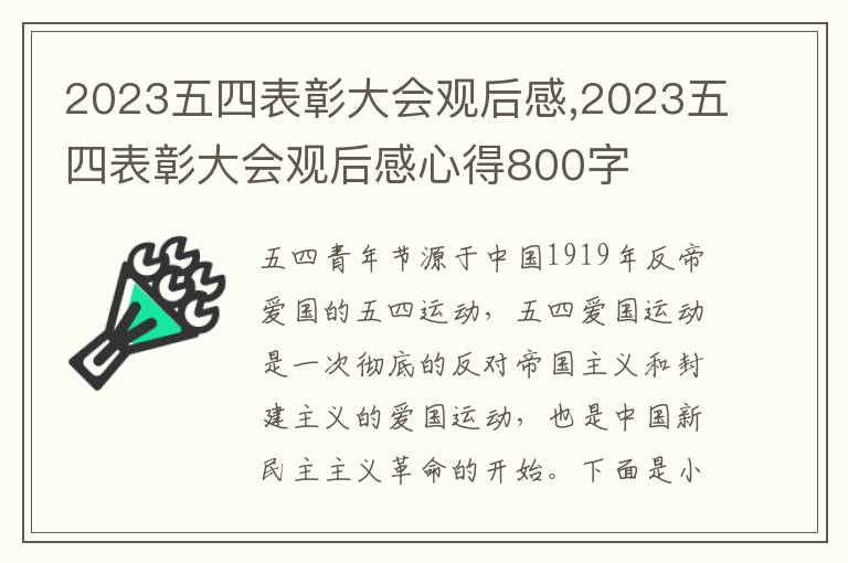 2023五四表彰大會觀后感,2023五四表彰大會觀后感心得800字