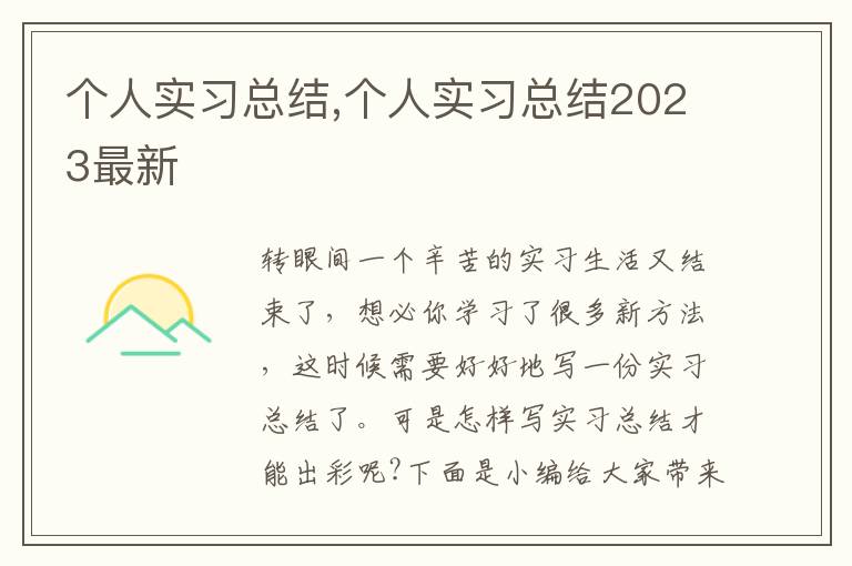 個人實習總結,個人實習總結2023最新