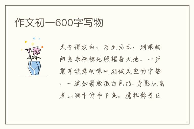 作文初一600字寫物