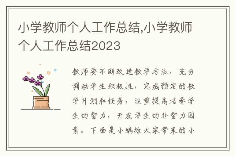 小學教師個人工作總結,小學教師個人工作總結2023