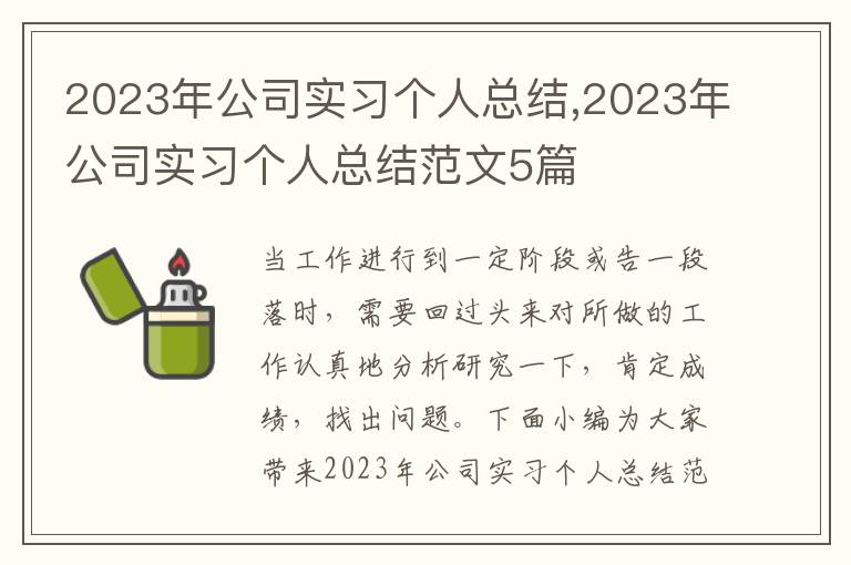 2023年公司實習個人總結,2023年公司實習個人總結范文5篇