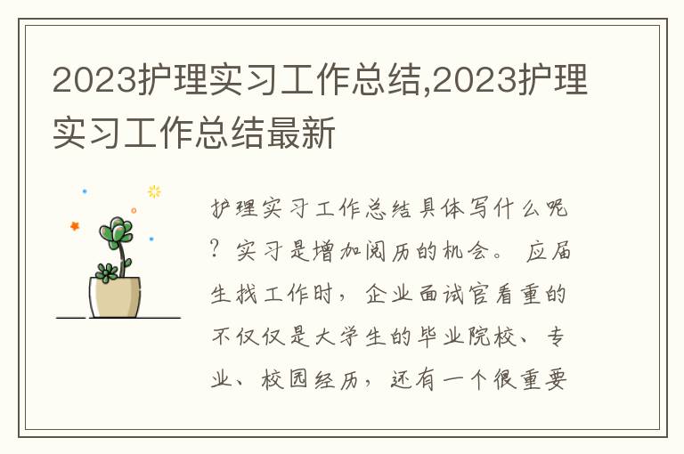 2023護(hù)理實(shí)習(xí)工作總結(jié),2023護(hù)理實(shí)習(xí)工作總結(jié)最新