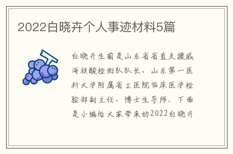 2022白曉卉個人事跡材料5篇