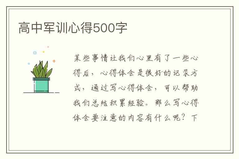 高中軍訓(xùn)心得500字