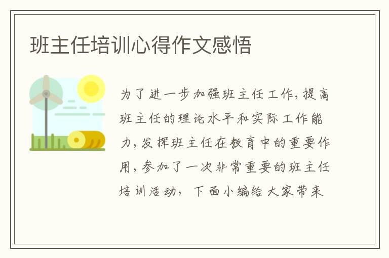 班主任培訓(xùn)心得作文感悟