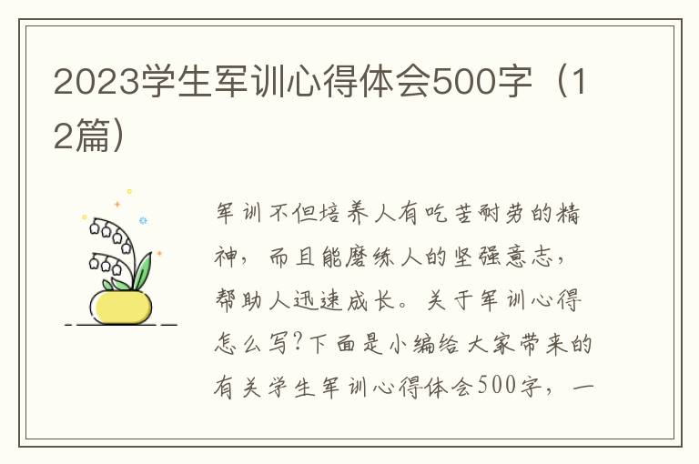 2023學(xué)生軍訓(xùn)心得體會(huì)500字（12篇）