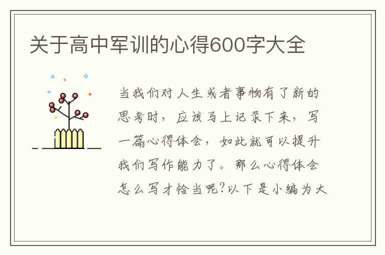 關(guān)于高中軍訓(xùn)的心得600字大全