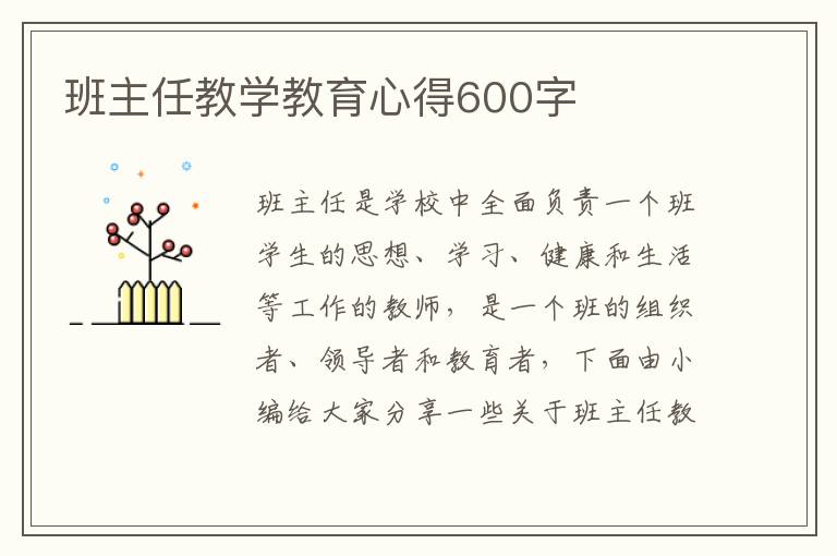 班主任教學教育心得600字