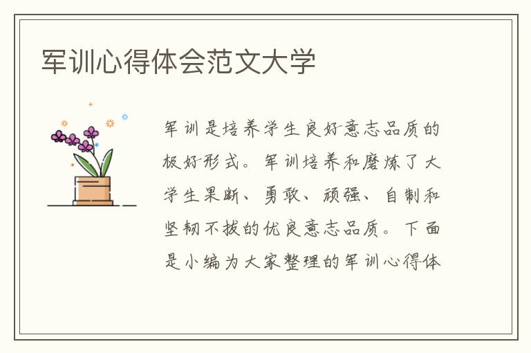 軍訓(xùn)心得體會(huì)范文大學(xué)