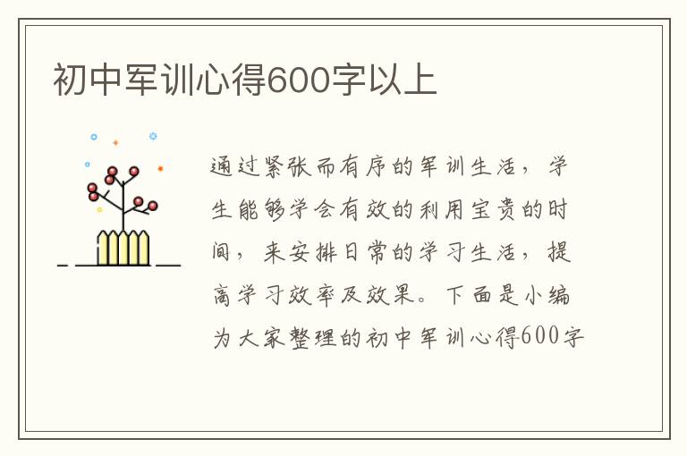 初中軍訓(xùn)心得600字以上