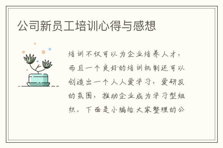 公司新員工培訓(xùn)心得與感想