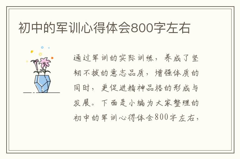 初中的軍訓(xùn)心得體會800字左右