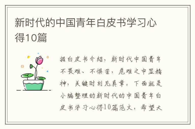 新時(shí)代的中國(guó)青年白皮書學(xué)習(xí)心得10篇