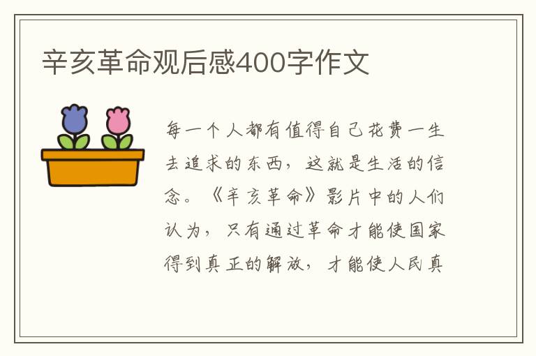 辛亥革命觀后感400字作文