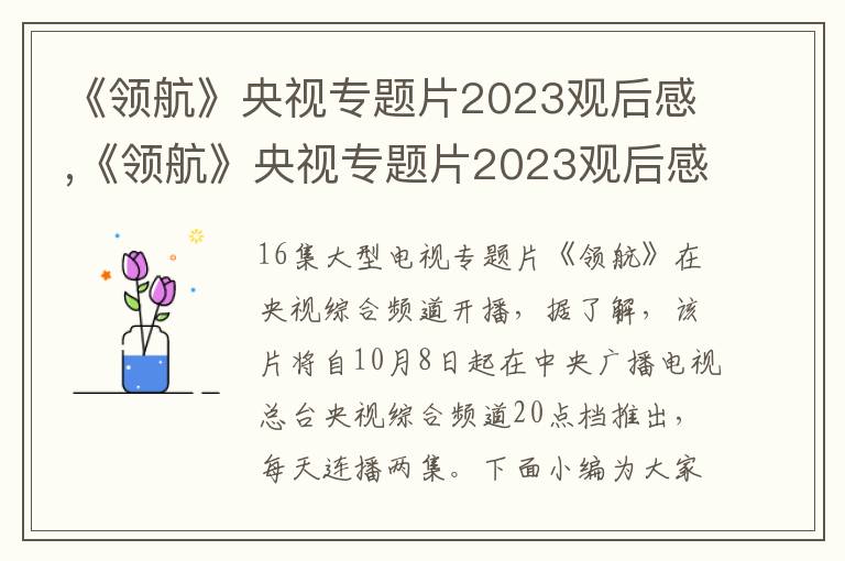 《領(lǐng)航》央視專題片2023觀后感,《領(lǐng)航》央視專題片2023觀后感400字（10篇）