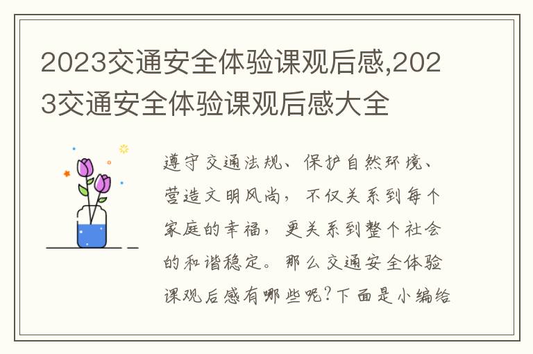 2023交通安全體驗(yàn)課觀后感,2023交通安全體驗(yàn)課觀后感大全