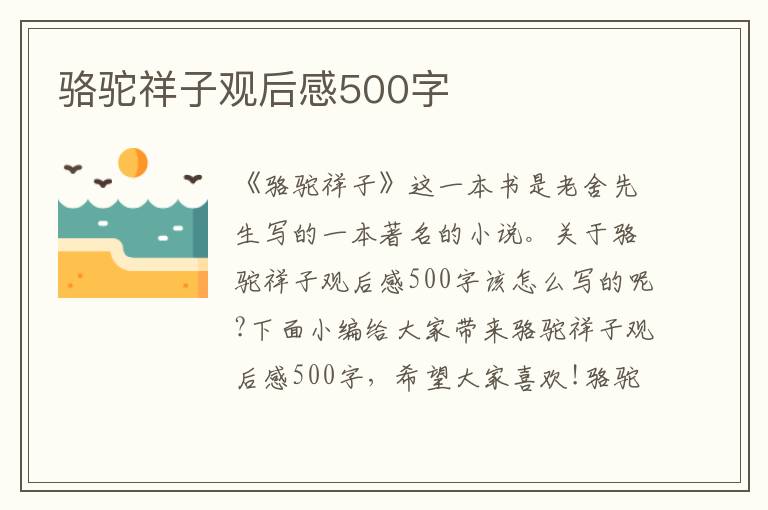 駱駝祥子觀后感500字