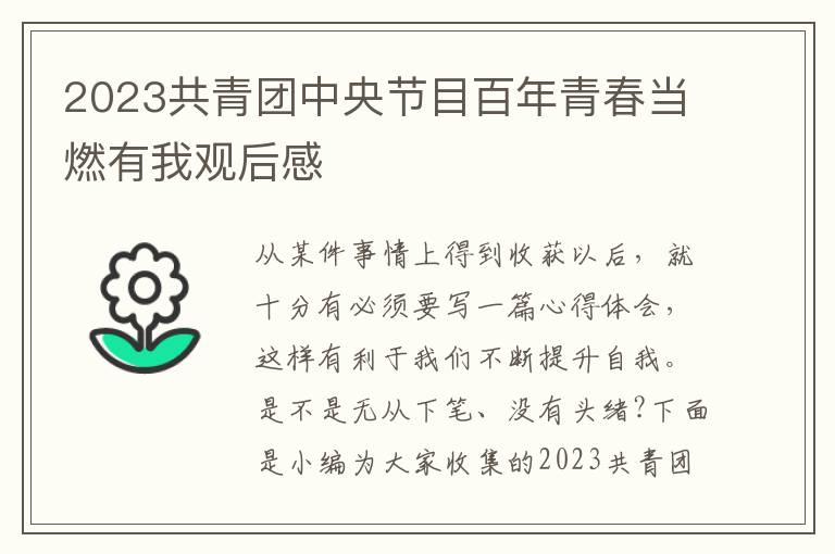 2023共青團中央節(jié)目百年青春當燃有我觀后感