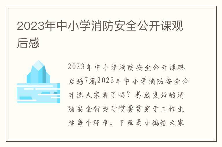 2023年中小學(xué)消防安全公開課觀后感