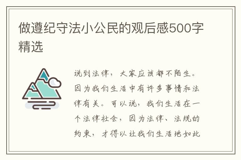 做遵紀守法小公民的觀后感500字精選