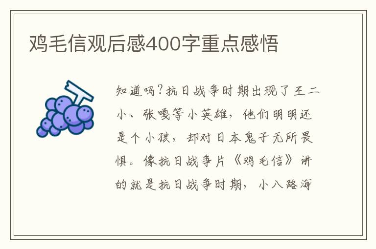 雞毛信觀后感400字重點感悟