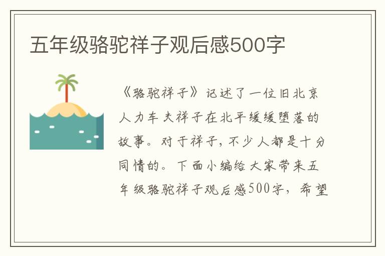 五年級駱駝祥子觀后感500字