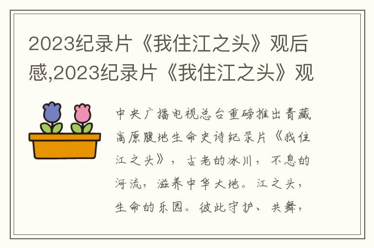 2023紀錄片《我住江之頭》觀后感,2023紀錄片《我住江之頭》觀后感十篇