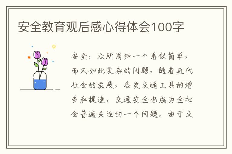 安全教育觀后感心得體會100字