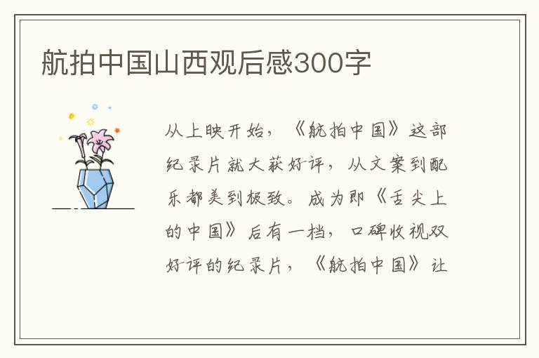 航拍中國山西觀后感300字