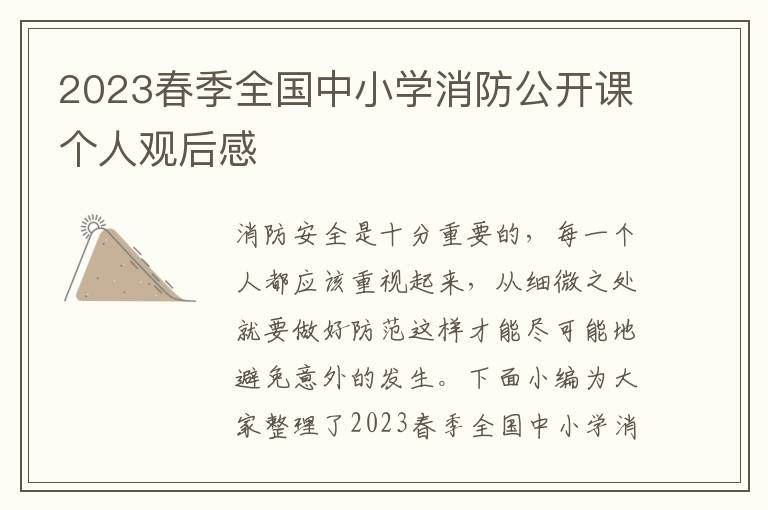 2023春季全國中小學消防公開課個人觀后感