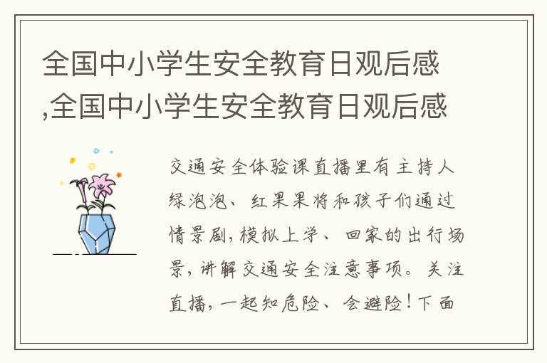 全國中小學(xué)生安全教育日觀后感,全國中小學(xué)生安全教育日觀后感啟發(fā)