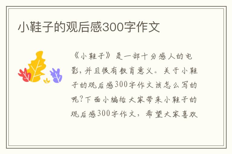 小鞋子的觀后感300字作文