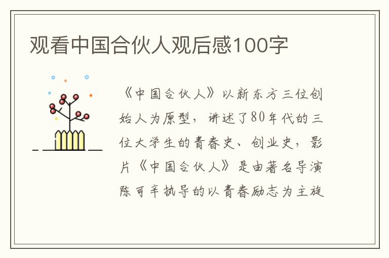 觀看中國合伙人觀后感100字