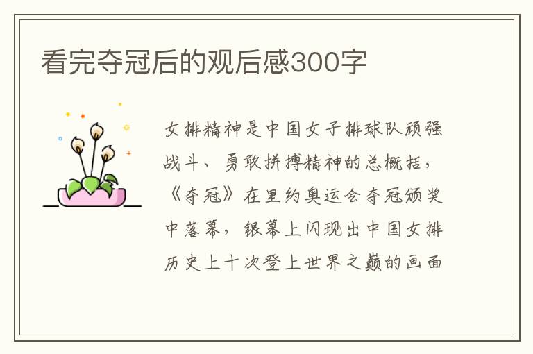 看完奪冠后的觀后感300字